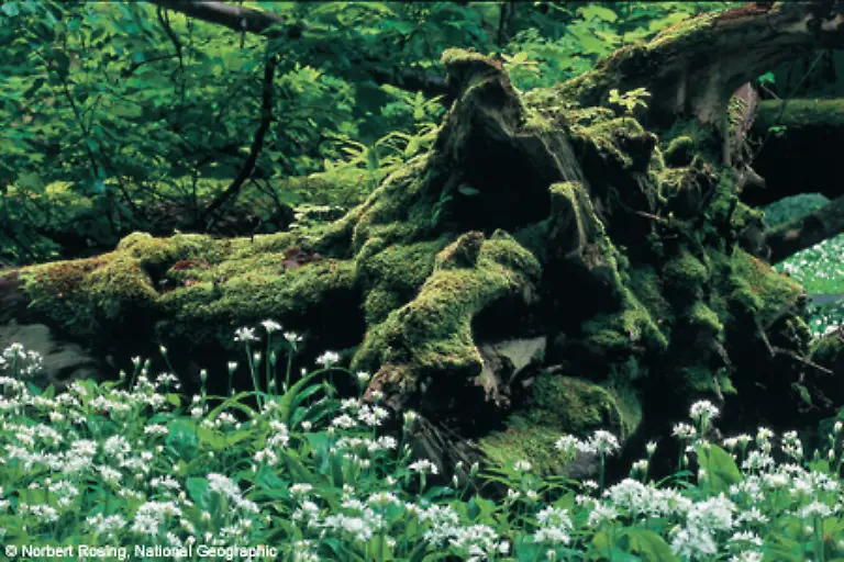 Die-Fotografien-von-einzigartigen-Landschaften-zeigen-die-schoensten-Seiten-des-Landes-Sie-sind-eine-Hommage-an-die-Natur