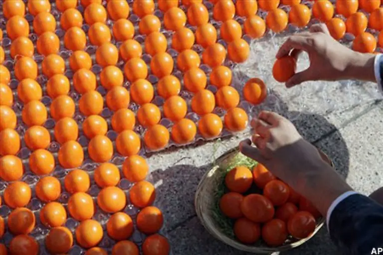 Auch-wenn-diese-Eier-orange-sind-wir-befinden-uns-nicht-in-den-Niederlanden