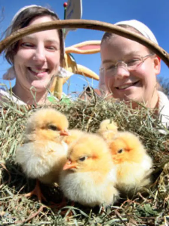 Die-Kroenung-allerdings-gelingt-dem-Hannoveraner-Zoo-Der-versucht-kurz-vor-Ostern-mit-ein-paar-laecherlichen-Kueken