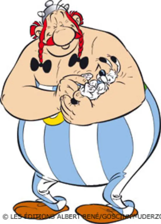 Nur-einer-hat-diesen-Trank-nicht-noetig-Obelix-Er-ist-so-stark-dass-er