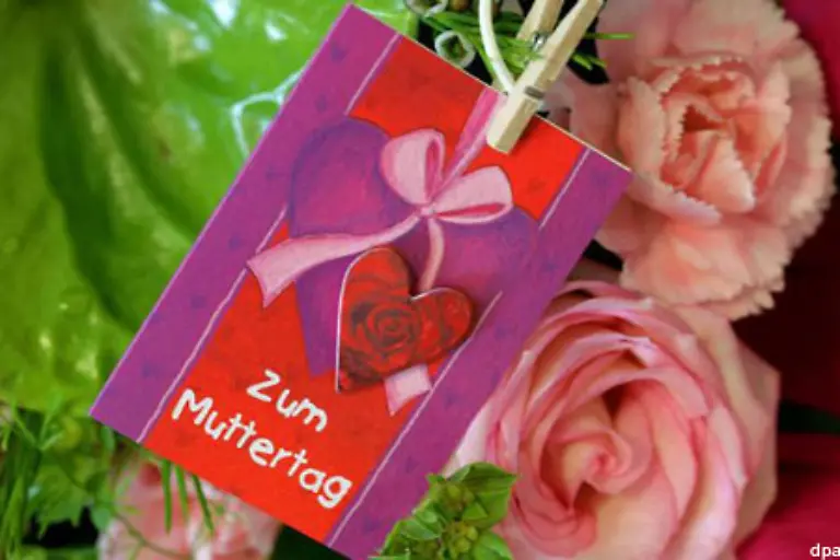 Doch-Knopfloch-Nelken-hin-Karten-her-zum-Muttertag-gehoert-natuerlich-vor-allem-eins