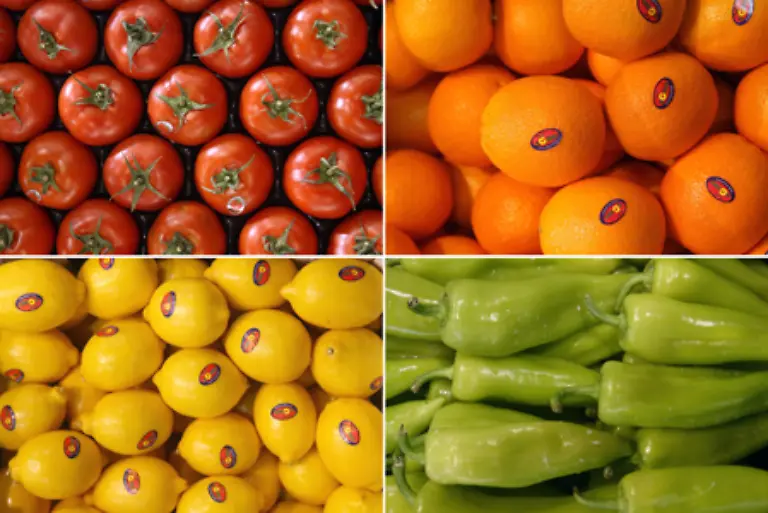 Essen-Sie-regelmaessig-abwechslungsreich-und-ausgewogen-Vor-allem-frisches-Obst-und-Gemuese-sollten-auf-ihrem-Speiseplan-stehen