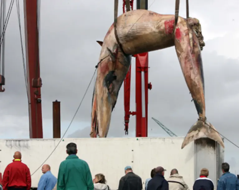 einen-Hitzschlag-bekommen