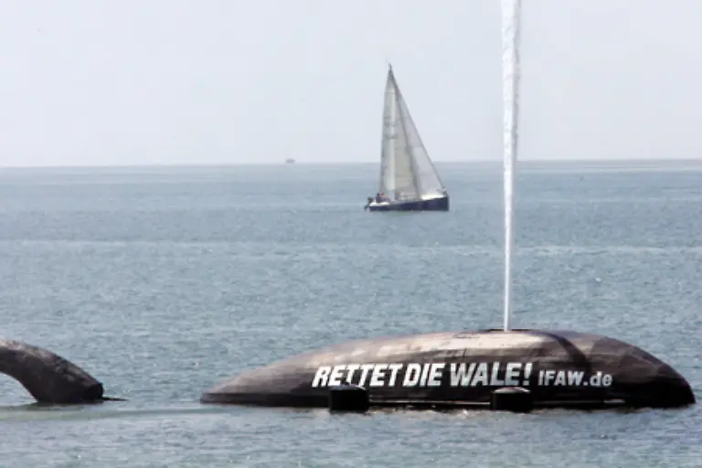 Der-Blas-eines-Blauwals-kann-bis-zu-12-Meter-hoch-sein