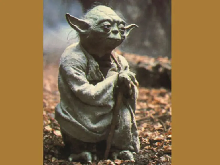 Luke-macht-sich-auf-den-Weg-zu-Yoda-um-seine-Jedi-Ausbildung-abzuschliessen-Der-erklaert-ihm-aber-das-er-keine-mehr-brauche-Er-muesse-nur-noch-Vader-besiegen-um-ein-voller-Jedi-zu-werden-Wenig-spaeter-stirbt-er-bestaetigt-Luke-aber-vorher-dass-Vader-sein-Vater-sei