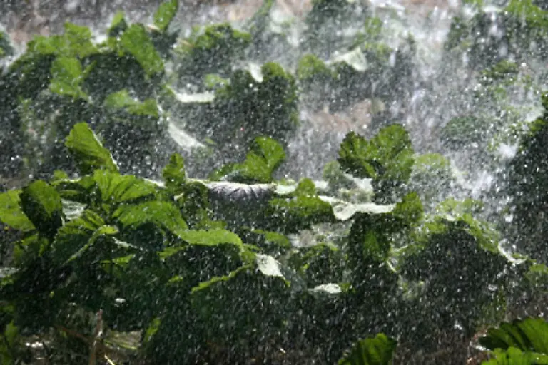 Nieselregen-auch-Spruehregen-genannt-ist-sehr-feiner-Regen
