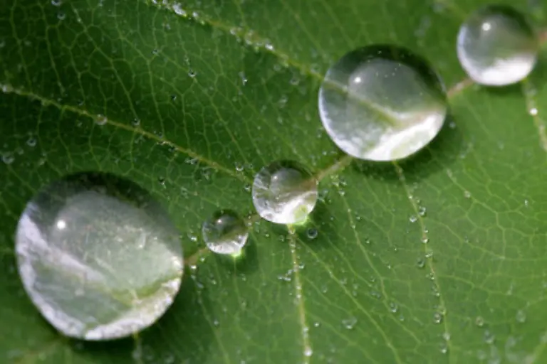 sie-sind-acht-Meter-pro-Sekunde-schnell