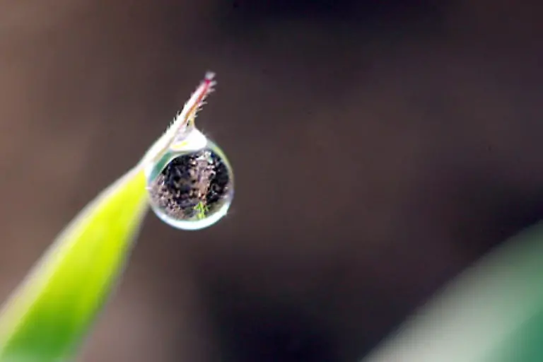 Unterkuehlter-Regen-gefrierender-Regen-besteht-aus-kleinen-Tropfen