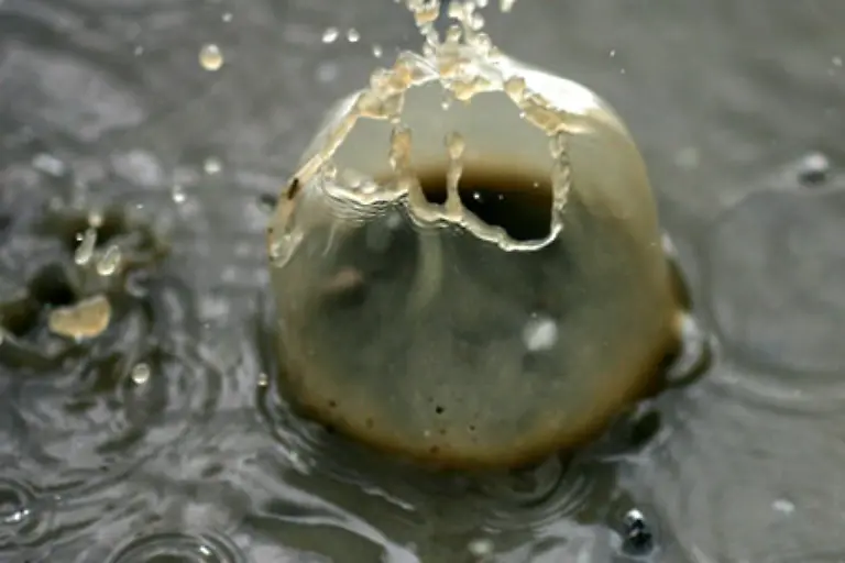 die-auch-bei-Frost-noch-fluessig-sind