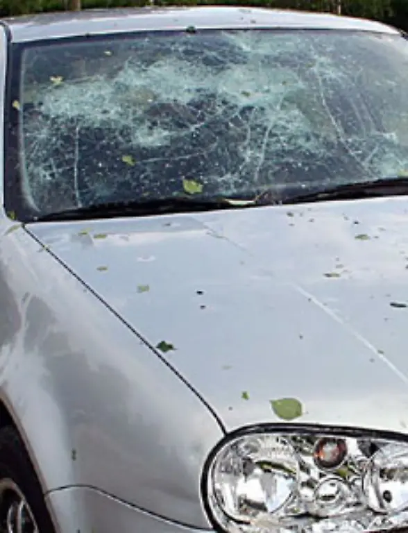 Das-ist-oefter-mal-sehr-unerfreulich