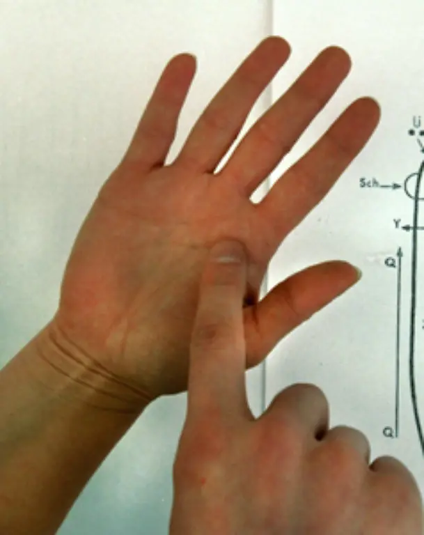 wie-den-Handinnenflaechen