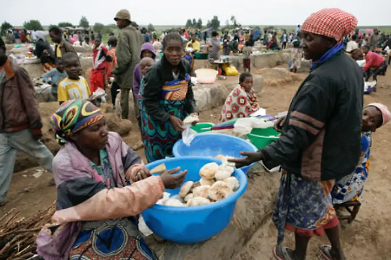 Gegen-die-durch-Subventionen-gestuetzten-niedrigen-Weltmarktpreise-kommen-afrikanische-Bauern-nicht-an-Europaeische-Produkte-sind-trotz-der-Transportkosten-auf-afrikanischen-Maerkten-billiger-als-die-Erzeugnisse-heimischer-Bauern