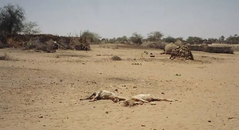 Allein-in-Afrika-gibt-es-davon-rund-13-Millionen-Besonders-katastrophal-ist-die-Lage-in-der-westsudanesischen-Region-Darfur