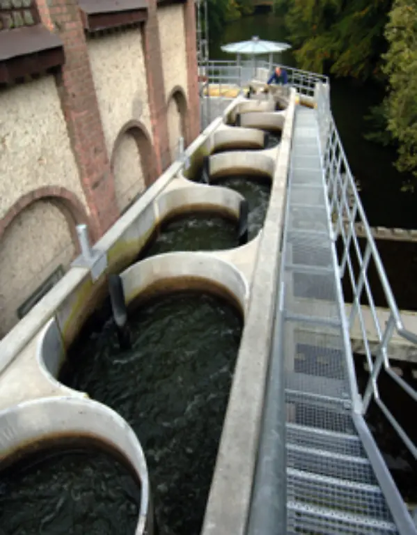 Um-die-Fische-zu-retten-werden-neben-den-Wasserkraftwerken-so-genannte-Fischtreppen
