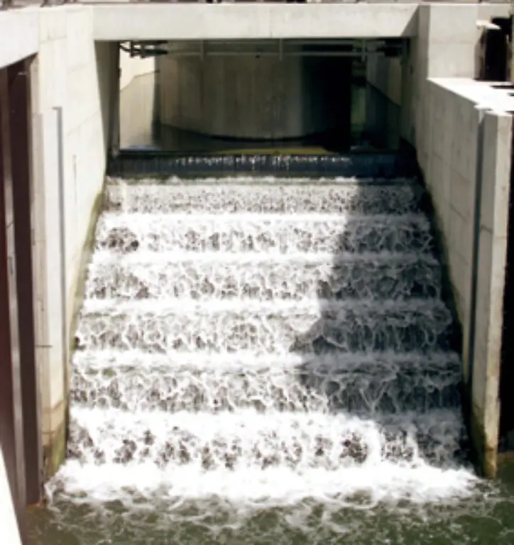 in-verschiedenen-Formen-gebaut