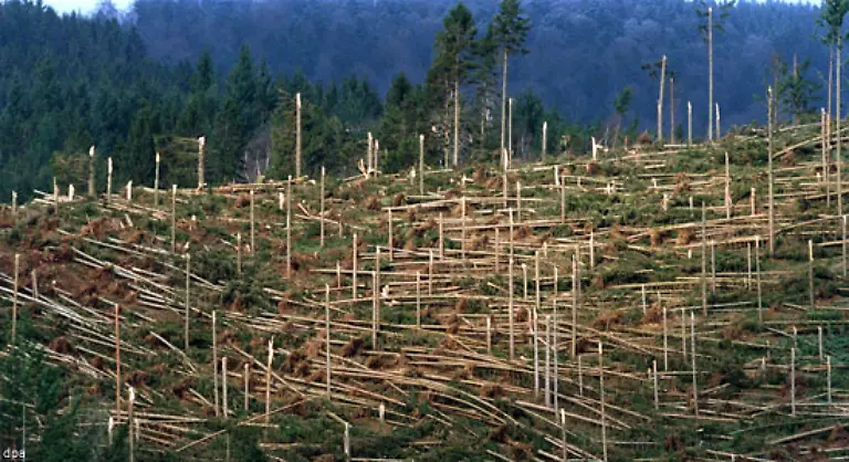 12-Beaufort-ist-die-hoechste-Stufe-der-Beaufort-Skala-Sie-erfasst-Orkane-ab-118-km-h-die-schwere-Verwuestungen-anrichten