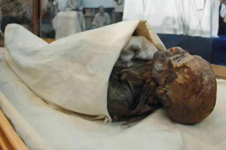 Die-Arbeit-war-ein-reiner-DNA-Krimi-und-machte-das-Zusammensetzen-verschiedener-archaeologischer-Puzzle-Teile-notwendig