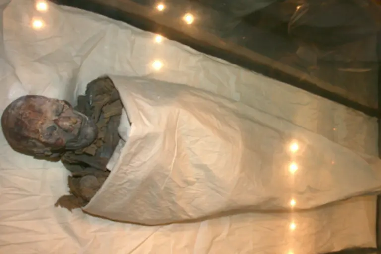 Nur-mit-modernster-Gentechnik-und-dem-Einsatz-eines-Computertomografen-konnten-die-Archaeologen-die-Mumie-als-Pharaonin-Hatschepsut-identifizieren