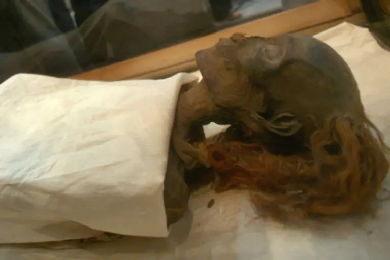 Eine-davon-es-war-wie-man-heute-weiss-die-Krankenpflegerin-von-Hatschepsut-Sittre-In-liess-er-ins-Aegyptische-Museum-nach-Kairo-bringen-und-untersuchen-Die-andere-liess-er-einfach-zurueck