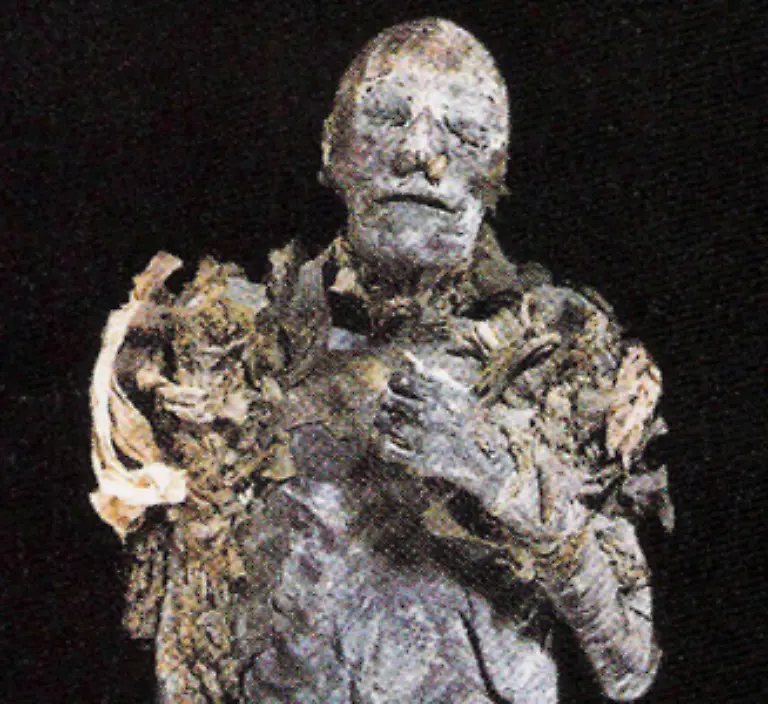 Das-einzige-was-die-Wissenschaftler-von-Hatschepsut-bereits-identifiziert-hatten-war-ein-Zahn-der-Pharaonin-der-in-einem-praechtigen-Tempel-in-einer-Holzkiste-gefunden-worden-war