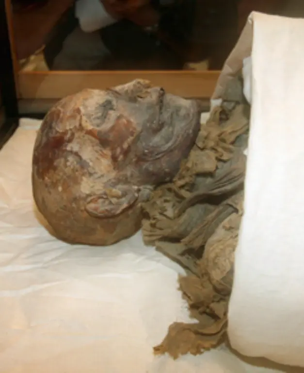 Hatschepsuts-Herrschaft-endete-mit-ihren-natuerlichen-Tod-Die-Pharaonin-starb-entweder-an-Krebs-oder-an-Diabetes-Weshalb-die-Mumie-in-der-unscheinbaren-Grabkammer-lag-konnten-die-Experten-bisher-nicht-klaeren