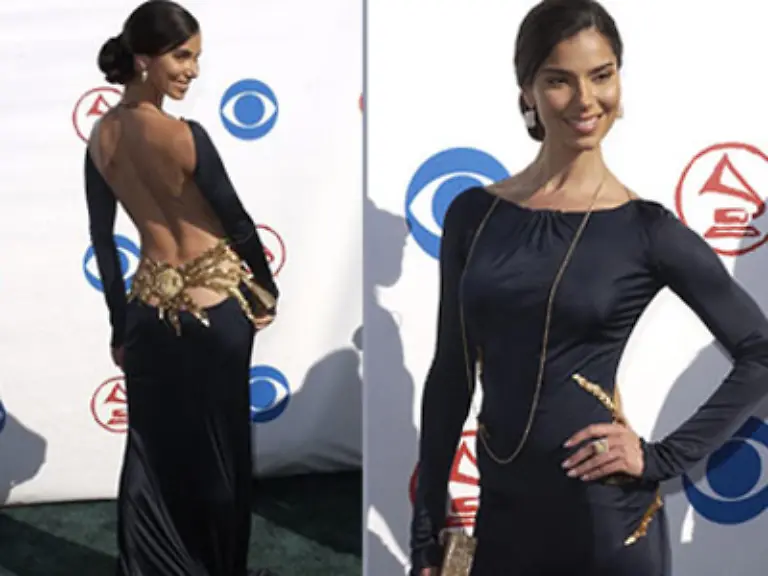 Zwar-war-Roselyn-Sanchez-34-schon-vor-Without-A-Trace-als-Schauspielerin-aktiv-aber-erst-die-Serie-verhalf-ihr-zum-Durchbruch-Und-dieses-Kleid