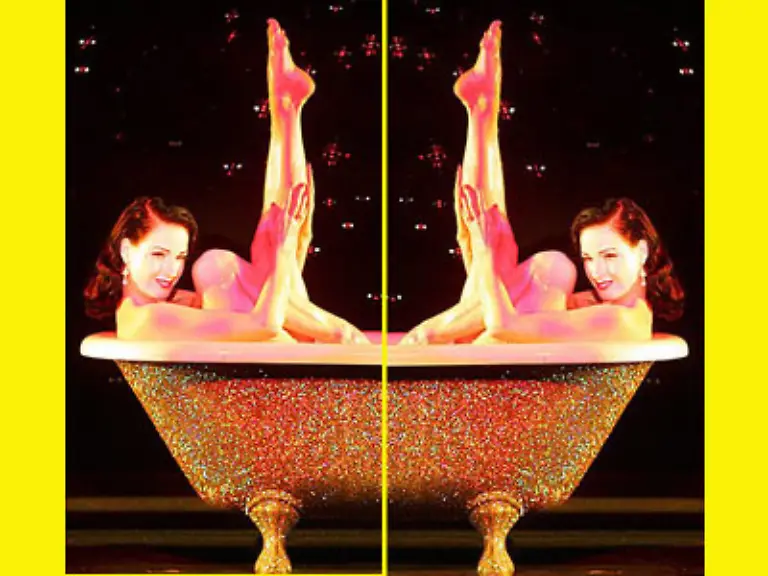 Dita-von-Teese-muss-ebenfalls-alleine-baden-da-sie-sich-vor-einiger-Zeit-vom-Schock-Rocker-Gatten-Marylin-Manson-getrennt-hat-Dafuer-erschien-das-Buch-der-34-Jaehrigen-Die-Kunst-der-Burlesque-Die-Kunst-des-Fetisch