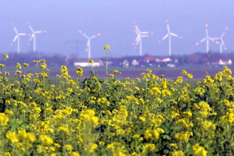 Wegen-der-Unvorhersehbarkeit-des-Windes-kann-Windenergie-nur-eine-Saeule-im-Energiemix-sein