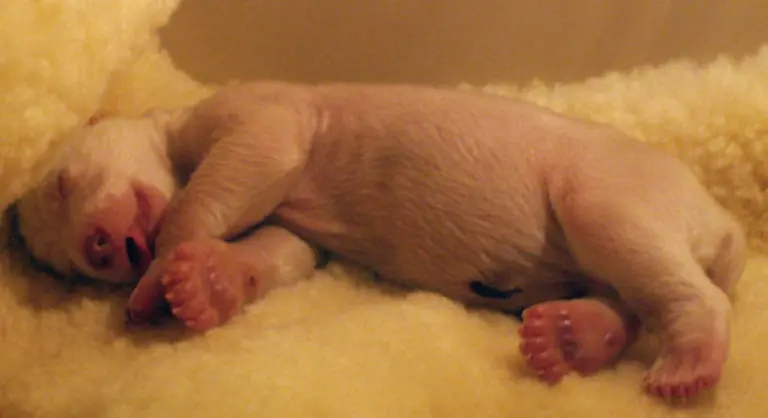 gleich-vom-ersten-Tag-an