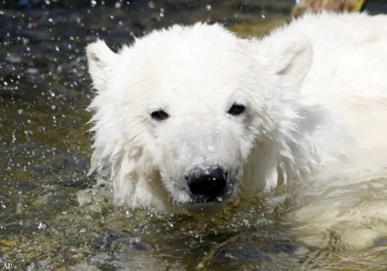 Und-nun-ist-er-schon-so-gross-und-wird-noch-immer-besucht-Das-ist-doch-toll