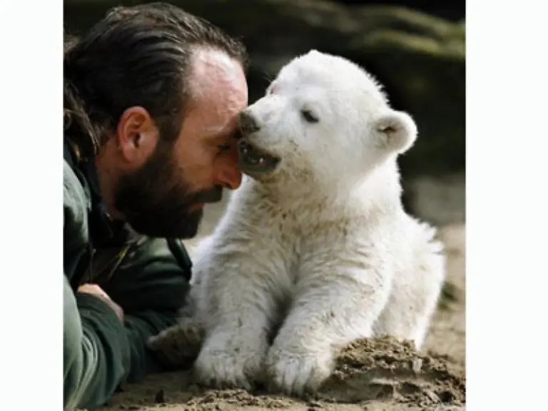 Frueher-hing-Knut-am-Rockzipfel-seines-Ziehvaters-jetzt-erkundet-er-die-ganze-Anlage