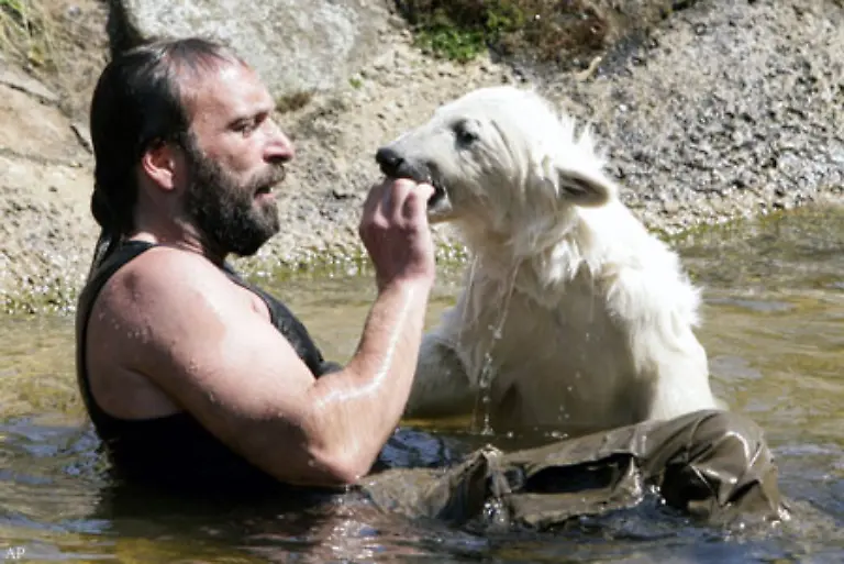 Denn-der-Ursus-maritimus-der-mit-gut-zwei-Jahren-als-erwachsen-gilt-ist-ein-gefaehrliches-Raubtier