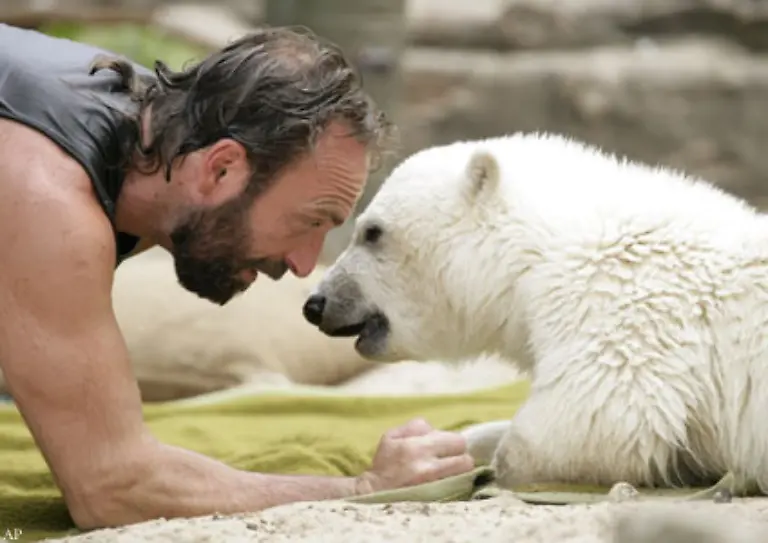 Einfach-wenn-er-ruppiger-spielt-sagt-Tierarzt-Schuele