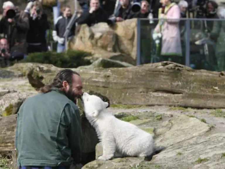 Die-Hysterie-um-den-knuffigen-Knut-mit-den-schwarzen-Knopfaugen-hat-sich-etwas-gelegt