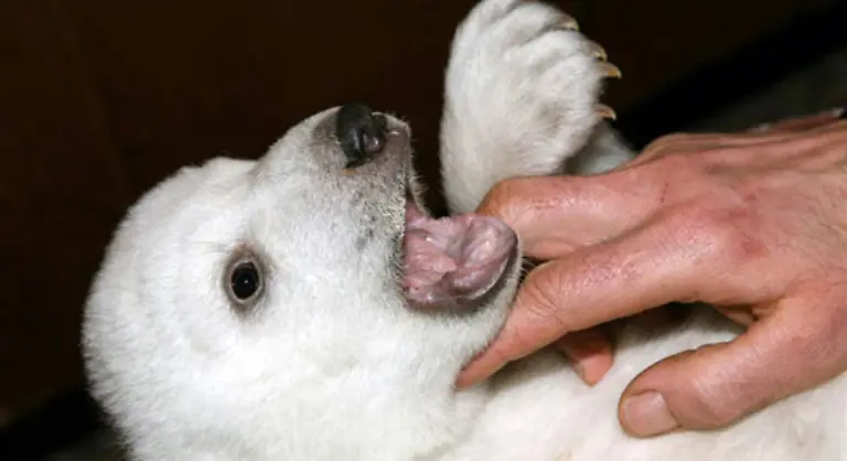 Was-gab-es-nicht-alles-an-Schlagzeilen