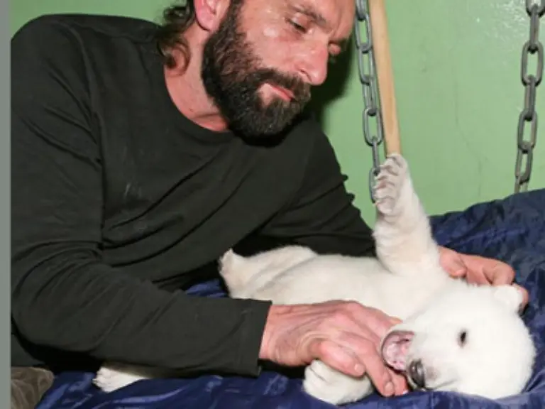 Knut-entsprach-als-Baby-dem-Kindchenschema-wie-aus-dem-Biologie-Lehrbuch