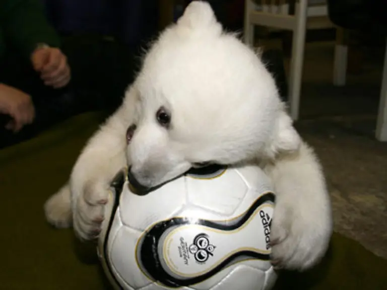 Selbst-Zyniker-gerieten-angesichts-der-kindlichen-Zuege-ins-Verzuecken