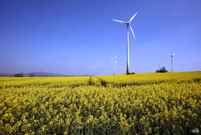 Gruener-Strom-aus-Sonne-Windkraft-Biomasse-und-oekologischer-Wasserkraft-laesst-kaum-Treibhausgase-entstehen