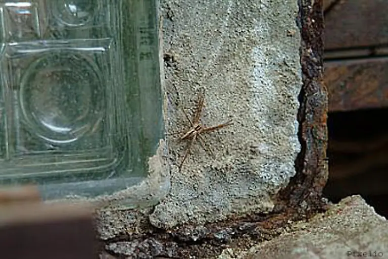 Glasbausteine-sind-aber-nicht-nur-etwas-fuer-Retro-Fans-oder-Nostalgiker