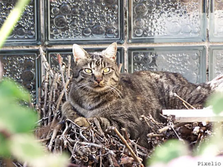 Es-gibt-aber-auch-aufwaendiger-gearbeitete-Steine-mit-eingeschlossenen-Luftblasen-etwa