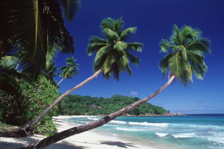 einfach-weg-Das-senkt-auch-den-Blutdruck