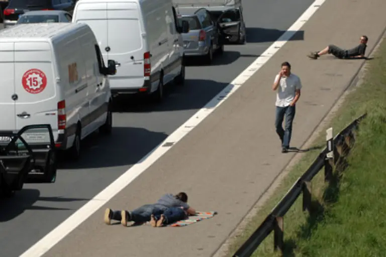 Sie-koennen-natuerlich-auch-auf-dem-heissen-Asphalt-ein-kleines-Nickerchen-machen