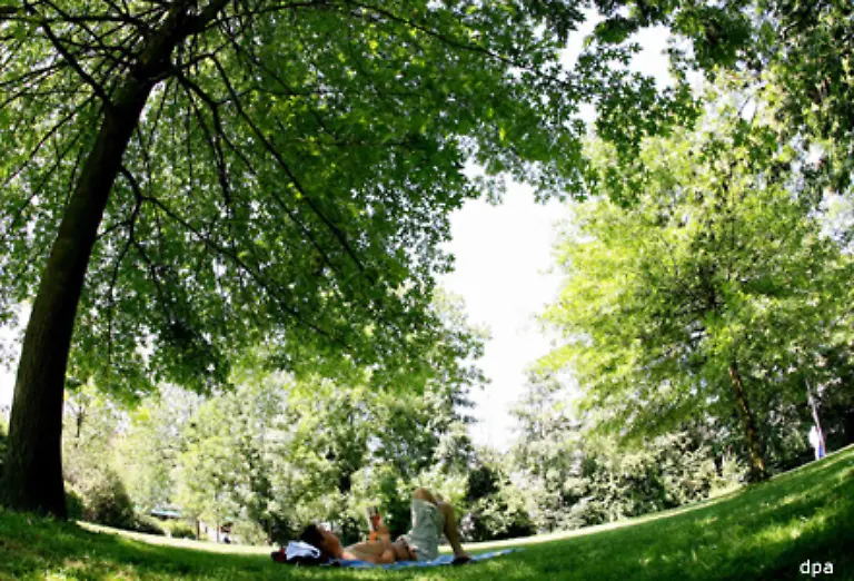Dann-schon-lieber-eine-kleine-Siesta-im-Schatten