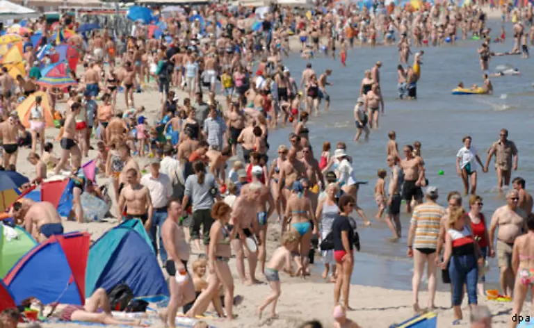 Die-Strandlaeufer-kommen-in-Scharen