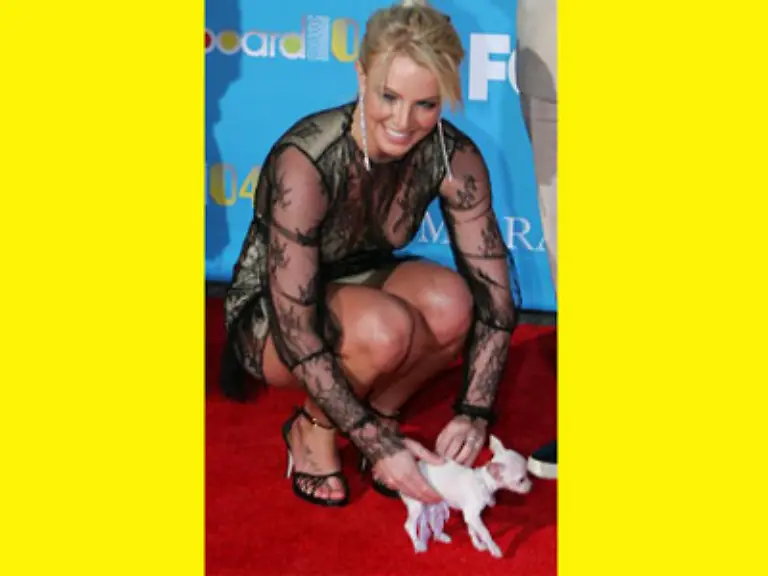 um-dann-schnell-wieder-mit-langen-Clubnaechten-von-sich-reden-zu-machen