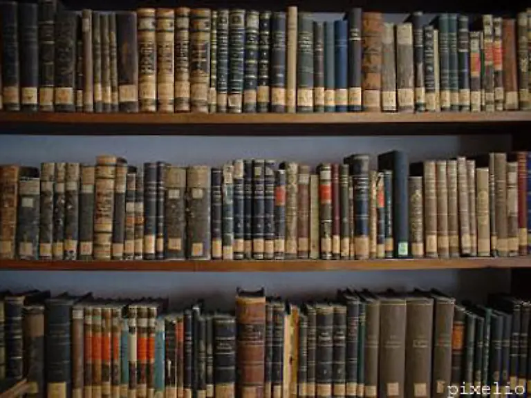 Auch-nicht-ueber-den-Zustand-der-Bibliotheken-ihre-Oeffnungszeiten-fuer-Studenten-Ausleihmoeglichkeiten-und-die-Frage-wieviel-Neuanschaffungen-sich-die-Uni-dafuer-leistet