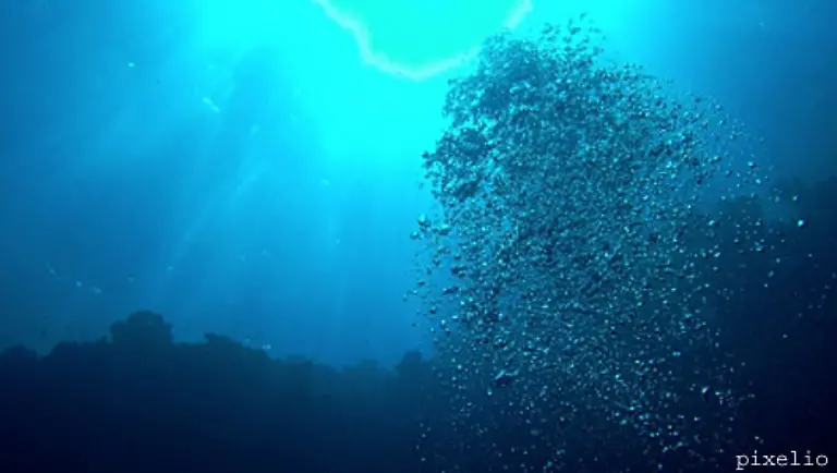 An-der-Christian-Albrechts-Universitaet-in-Kiel-kann-sich-der-Forscher-ganz-dem-Meer-widmen-Im-Exzellenzcluster-The-Future-Ocean