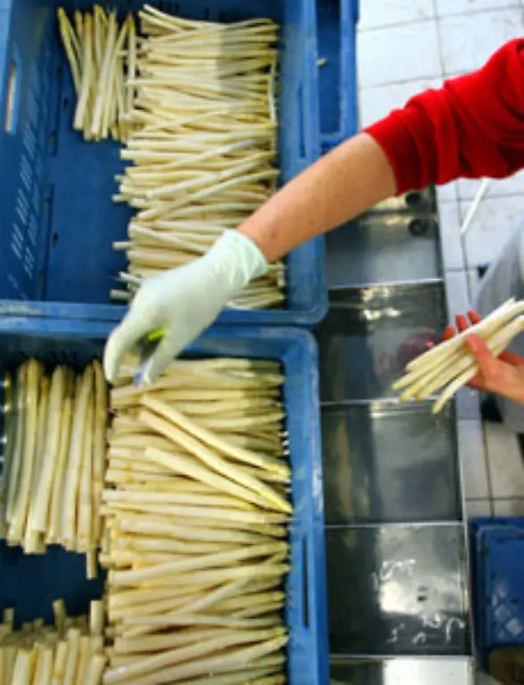 Der-Tarif-fuer-eine-40-Stunden-Woche-in-der-Land-und-Forstwirtschaft-sowie-im-Garten-und-Weinbau-in-Bayern-liegt-zwischen-1-324-und-1-680-Euro