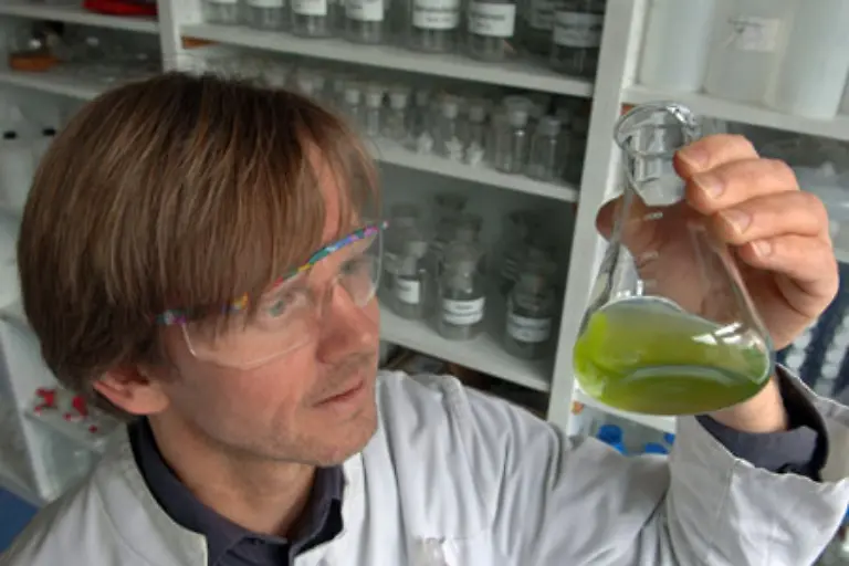 Chemikanten-in-der-chemischen-Industrie-Ost-werden-mit-2-133-bis-2-310-Euro-entlohnt-und-arbeiten-40-Stunden-Am-Nordrhein-erhalten-sie-bei-37-5-Stunden-Wochenarbeitszeit-2-281-bis-2-646-Euro