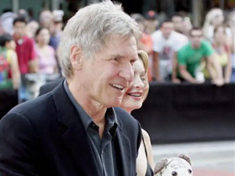 Doch-ihren-grossen-Durchbruch-hatte-sie-erst-1989-An-der-Seite-von-Harrison-Ford-in-Die-Waffen-der-Frauen